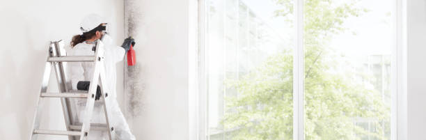 Best Forensic Mold Investigation  in Manchester, NH